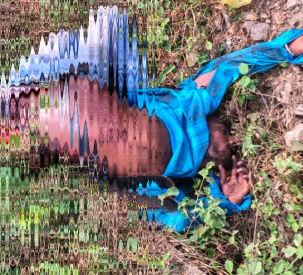 झाड़ियों में मिला टोटो चालक का शव: दो दिन से लापता था राहुल, संदिग्ध मौत से फैली सनसनी