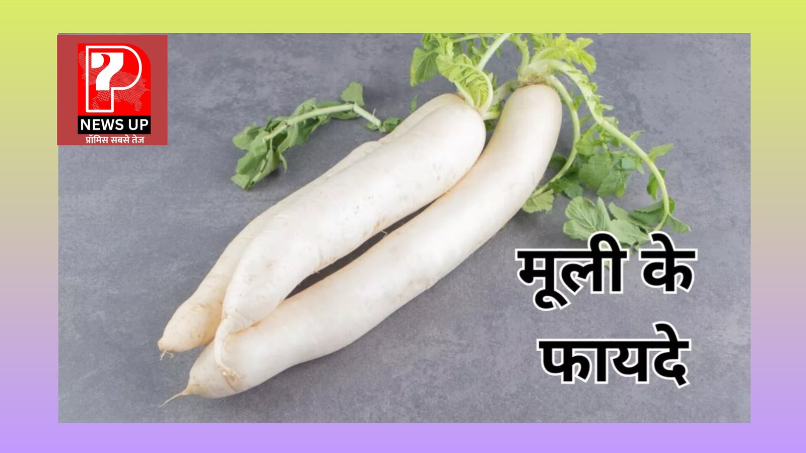 मूली खाने के फायदे, सर्दियां आने वाली हैं भोजन में जरूर करें शामिल, चेहरा होगा चिकना, मुंहासे और एलर्जी से छुटकारा