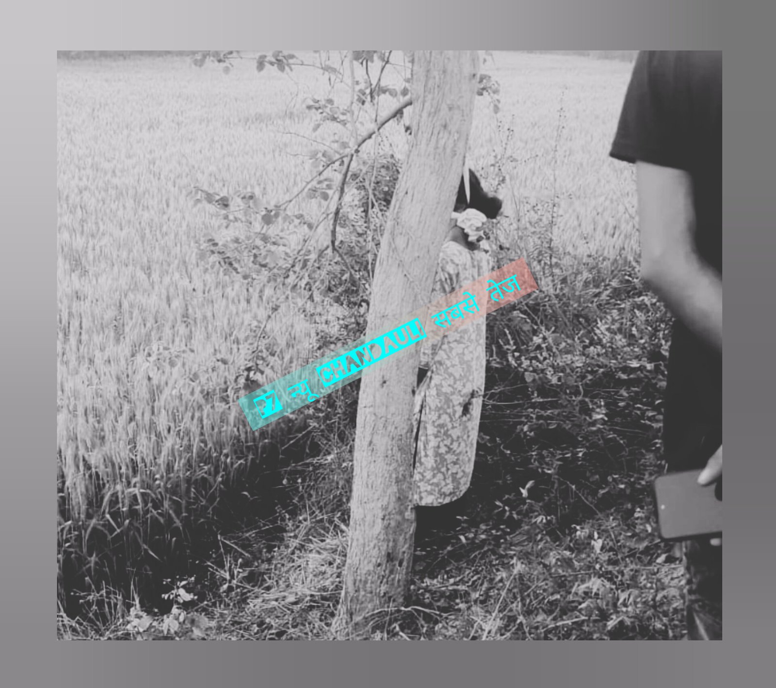 धानापुर में शीशम के पेड़ से लटकता मिला किशोरी का शव: हत्या आत्महत्या की गुत्थी में उलझी पुलिस, परिजनों में शोक का माहौल