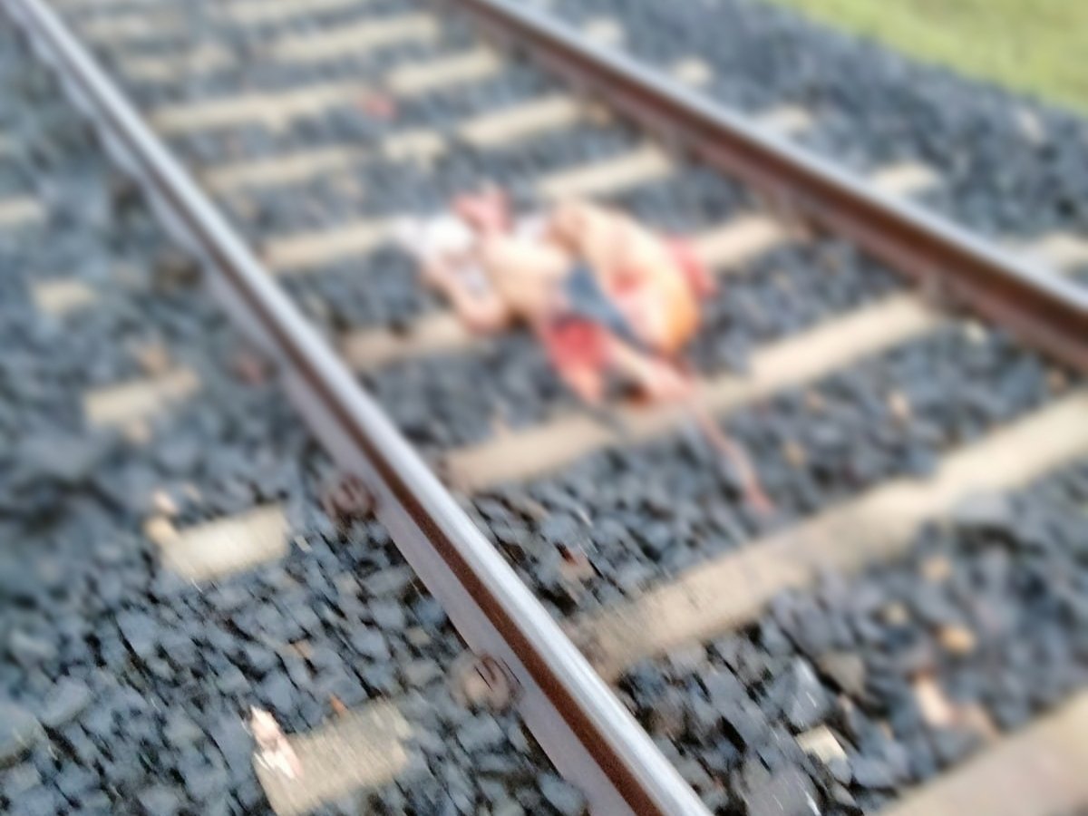 चंदौली के सिंधीताली में रेलवे ट्रैक पार कर रहे युवक की ट्रेन से कटकर मौत: घर में मचा कोहराम, पारिवारिक कलह से युवक परेशान था