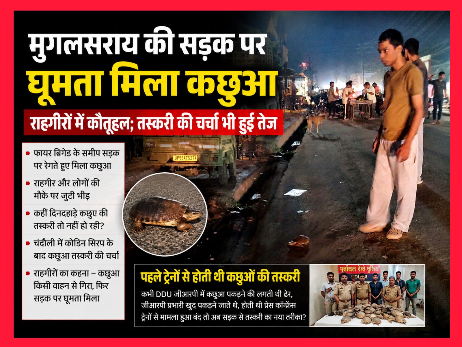 मुगलसराय फायर ब्रिगेड के पास सड़क पर मिला कछुआ, लोगों में कौतूहल; कोडीन के बाद कछुआ तस्करी को लेकर शुरू हुई चर्चाएं, कभी डीडीयू जीआरपी में कछुआ पकड़ने की लगती थी ढेर