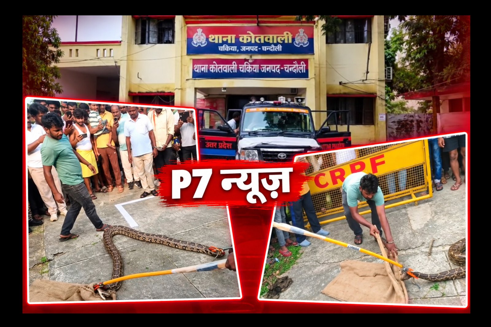 Chandauli News: सीआरपीएफ गेट के पास निकला विशाल अजगर, मचा हड़कंप; वन विभाग की टीम ने किया सुरक्षित रेस्क्यू