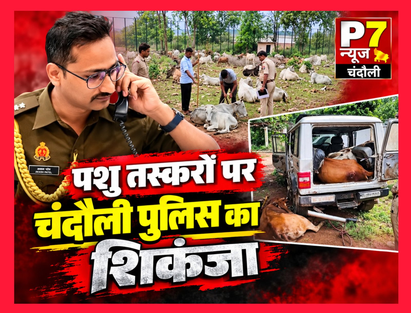 Chandauli News: चंदौली में पशु तस्करों पर एसपी आकाश पटेल का शिकंजा, 9 माह में 95 मुकदमे दर्ज; 635 पशु मुक्त, 180 तस्कर गिरफ्तार