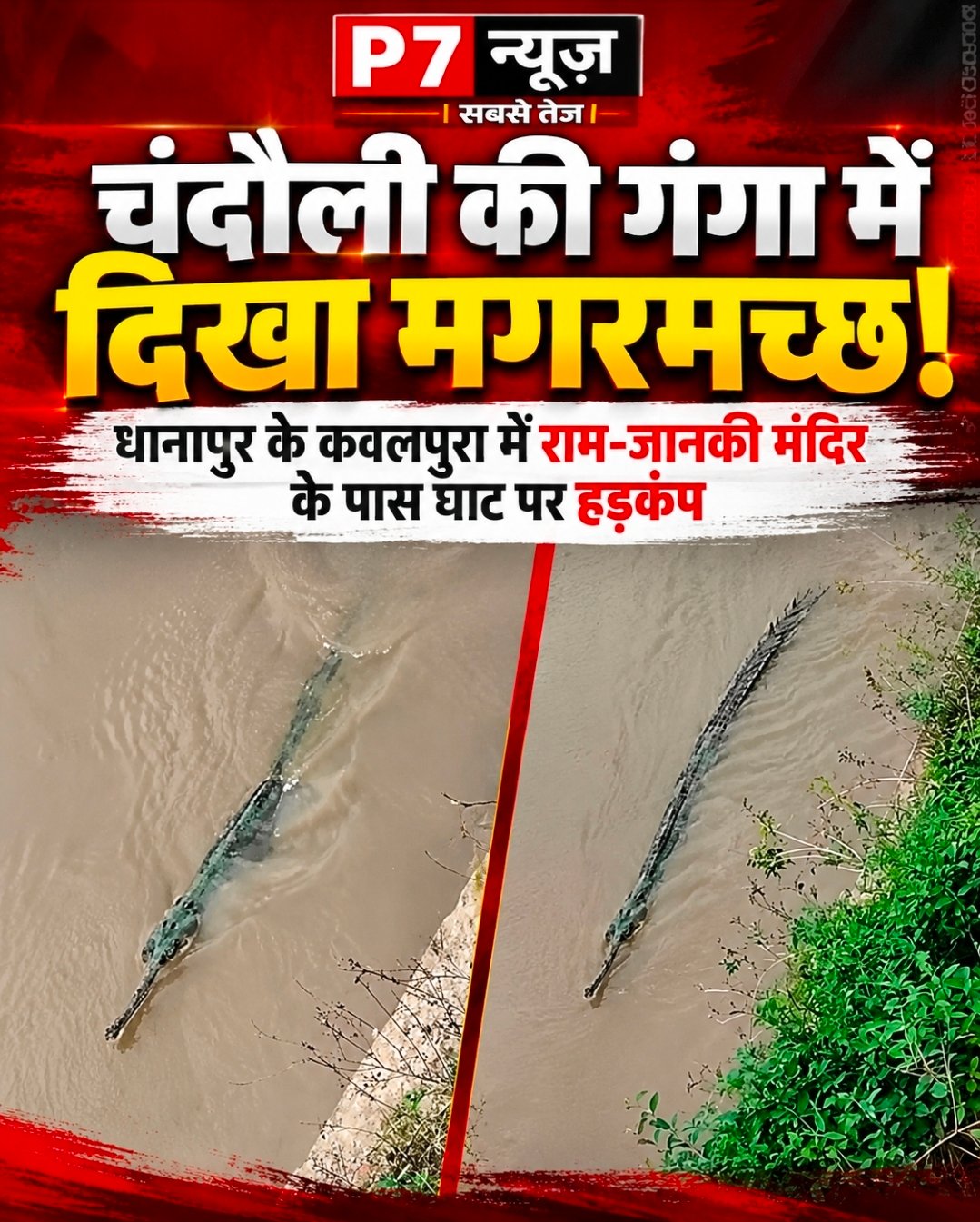 Chandauli News: गंगा में मगरमच्छ दिखने से हड़कंप, DFO बी. शिवशंकर ने लोगों को किया सतर्क, टीम भेजकर मगरमच्छ पकड़ने के दिए निर्देश